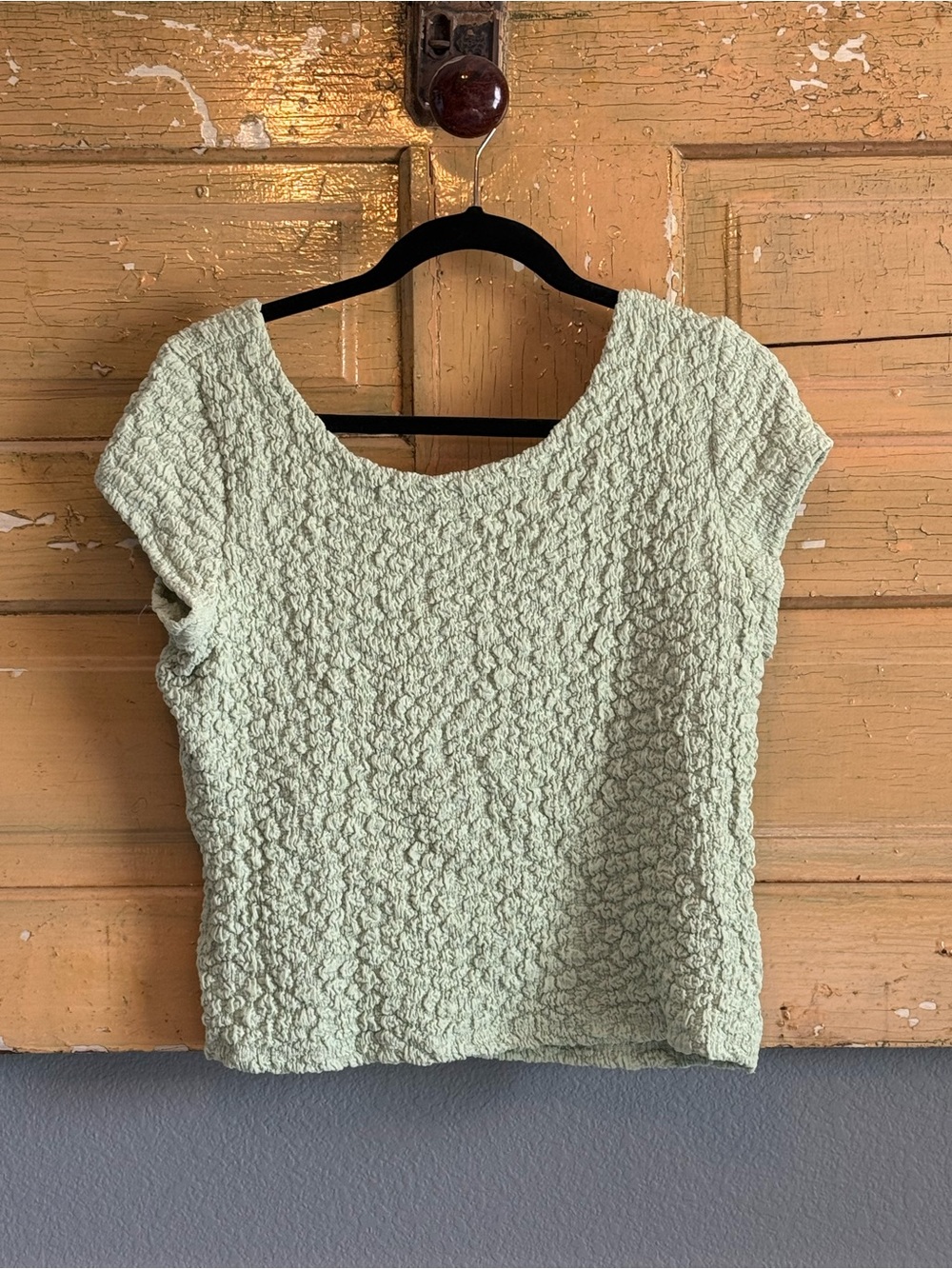 Maeve Light Green Textured Short Sleeve Top